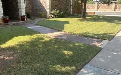 Photo of Jessica B.'s yard after getting lawn care in Lubbock, TX