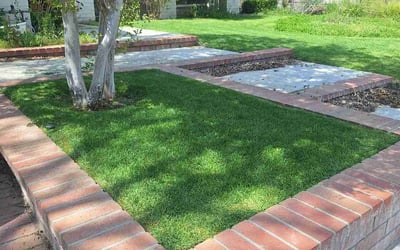 Photo of Kayla A.'s yard after getting lawn care in Santa Clarita, CA