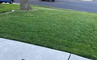 Photo of Matthew P.'s yard after getting lawn care in Jenkintown, PA