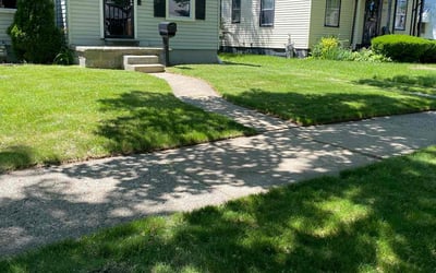 Photo of Tom D.'s yard after getting lawn care in Dowagiac, MI