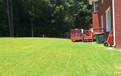 Photo of Dan B.'s yard after getting lawn care in Buford, GA