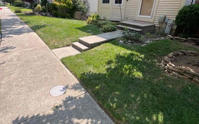 Photo of Ortagus O.'s yard after getting lawn care in Catonsville, MD