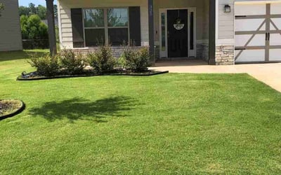 Photo of Todd R.'s yard after getting lawn care in San Antonio, TX
