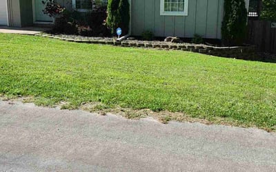 Photo of Etienne B.'s yard after getting lawn care in Bella Vista, AR