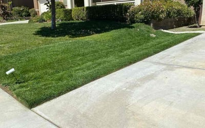 Photo of Cathleen P.'s yard after getting lawn care in Menifee, CA