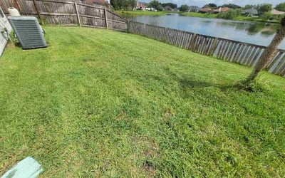 Photo of Steve D.'s yard after getting lawn care in Cranford, NJ