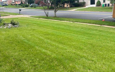 Photo of Craig S.'s yard after getting lawn care in Fort Washington, MD