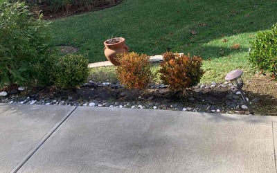 Photo of Tanisha W.'s yard after getting lawn care in Wake Forest, NC