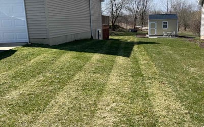 Photo of Francesca R.'s yard after getting lawn care in Mason, MI