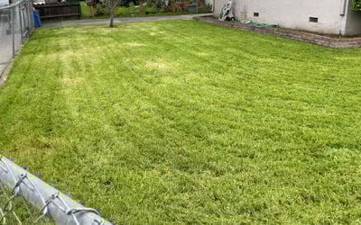 Photo of Pamela R.'s yard after getting lawn care in Malibu, CA