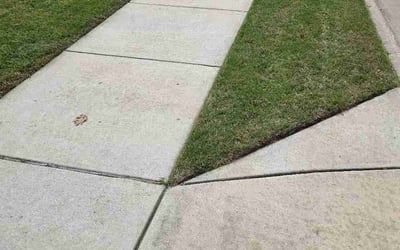 Photo of Takeda R.'s yard after getting lawn care in Union City, GA