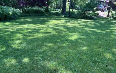 Photo of Jim/Pat F.'s yard after getting lawn care in Johnston, RI