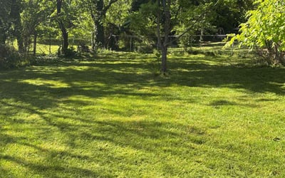 Photo of William M.'s yard after getting lawn care in Roanoke, VA