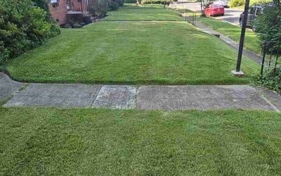 Photo of Courtney D.'s yard after getting lawn care in Aylett, VA