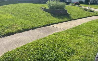Photo of Cynthia W.'s yard after getting lawn care in Florissant, MO