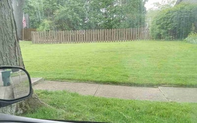 Photo of John M.'s yard after getting lawn care in Milford, DE