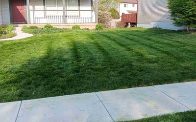 Photo of Elliott B.'s yard after getting lawn care in Hilliard, OH