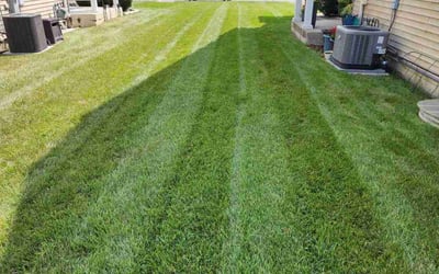 Photo of Charles H.'s yard after getting lawn care in Woodstock, IL