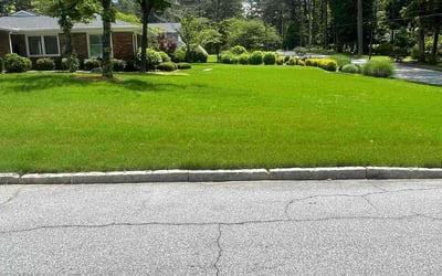 Photo of Lisa O.'s yard after getting lawn care in East Point, GA