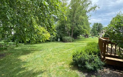 Photo of Jessica K.'s yard after getting lawn care in Elgin, IL
