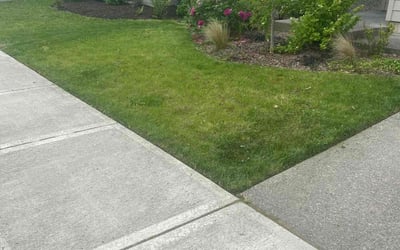 Photo of Jennifer F.'s yard after getting lawn care in Ridgefield, WA