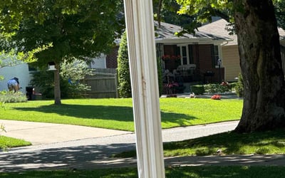 Photo of Chris C.'s yard after getting lawn care in Olive Branch, MS