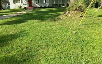 Photo of Christopher M.'s yard after getting lawn care in North Las Vegas, NV