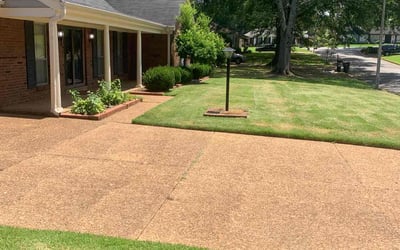 Photo of Brandon S.'s yard after getting lawn care in Sparks, NV