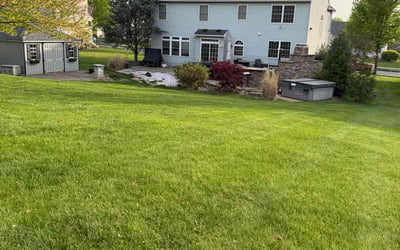 Photo of Latonya B.'s yard after getting lawn care in Allentown, PA
