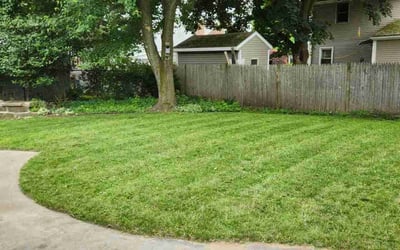 Photo of Mary P.'s yard after getting lawn care in Belchertown, MA