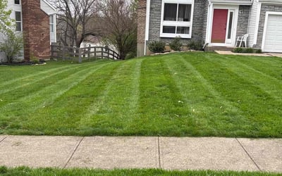 Photo of Lorrie L.'s yard after getting lawn care in Alexandria, KY