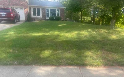 Photo of Shounda S.'s yard after getting lawn care in Valley Stream, NY