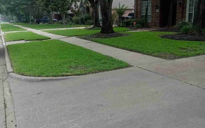 Photo of Angelo T.'s yard after getting lawn care in Alamo, TX