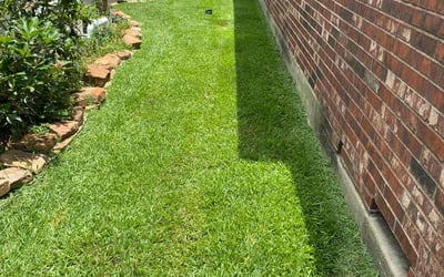 Photo of Joshua R.'s yard after getting lawn care in Tomball, TX