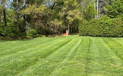 Photo of Phillip S.'s yard after getting lawn care in Oceanside, CA