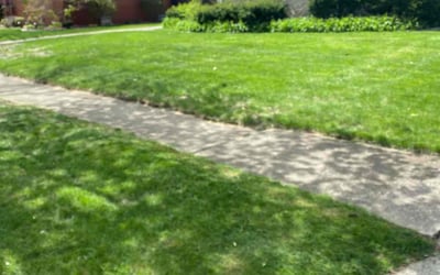Photo of Alan S.'s yard after getting lawn care in Demotte, IN