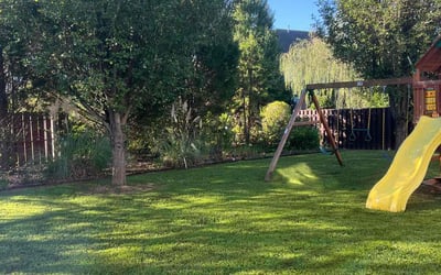 Photo of Tyrone S.'s yard after getting lawn care in Concord, NC