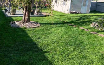 Photo of Takao O.'s yard after getting lawn care in Novi, MI