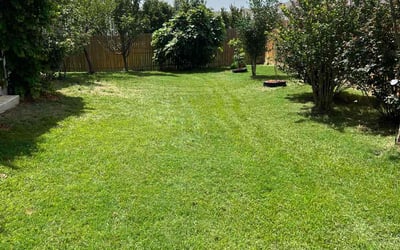 Photo of Tracey G.'s yard after getting lawn care in Cabot, AR