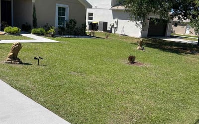 Photo of Albert F.'s yard after getting lawn care in Poinciana, FL