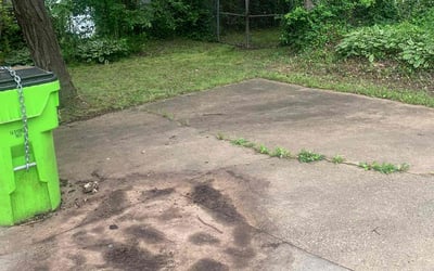 Photo of David G.'s yard after getting tree care in Metairie, LA