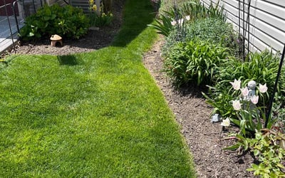 Photo of Christine A.'s yard after getting lawn care in Mechanicsburg, PA