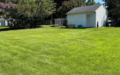 Photo of Steph C.'s yard after getting lawn care in Mechanicsville, VA