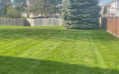Photo of M P.'s yard after getting lawn care in Naperville, IL