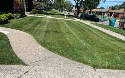 Photo of Vineel R.'s yard after getting lawn care in Calera, AL