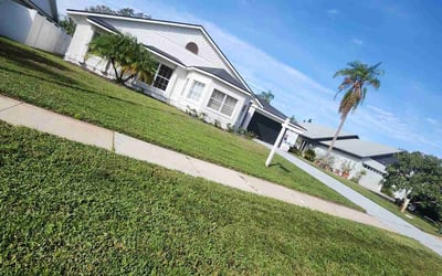 Photo of Angel B.'s yard after getting lawn care in Alafaya, FL