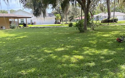 Photo of Timothy M.'s yard after getting lawn care in Leesburg, FL