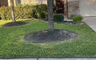 Photo of Malcom R.'s yard after getting lawn care in Lebanon, OR