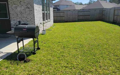 Photo of Cassandra B.'s yard after getting lawn care in Humble, TX