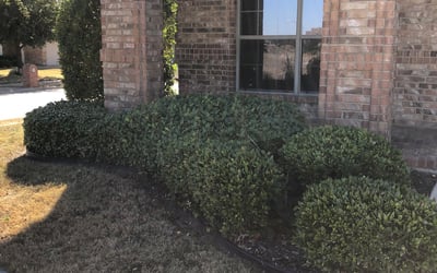 Photo of Douglas W.'s yard after getting tree care in Mansfield, OH